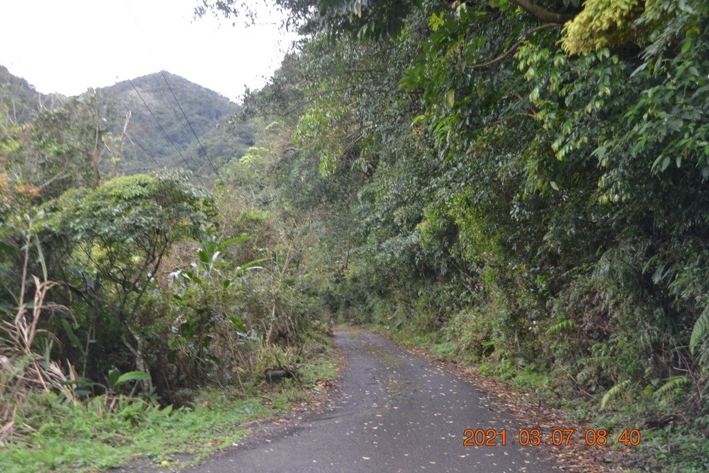 DSC_0525.JPG