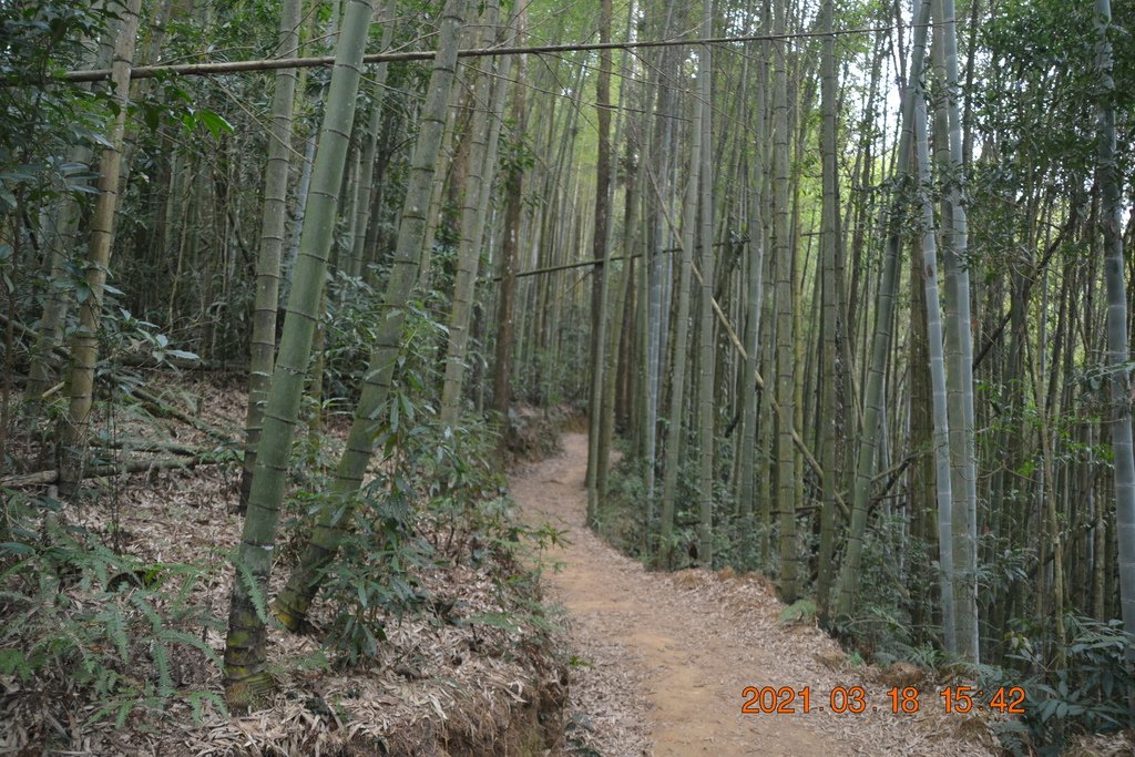 DSC_0241.JPG