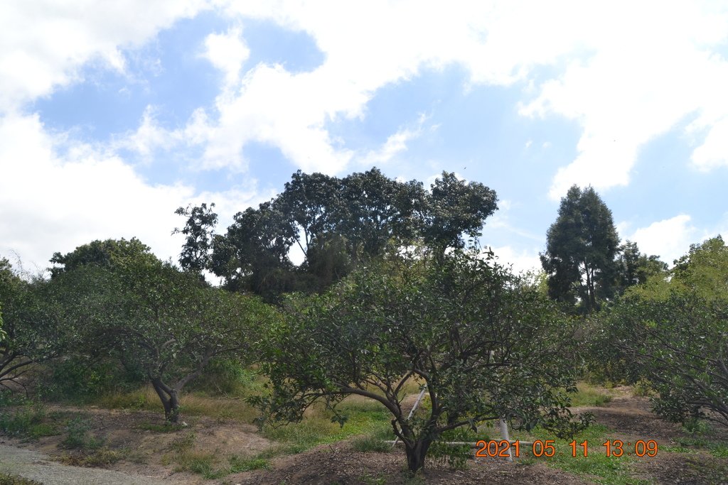 DSC_0035.JPG
