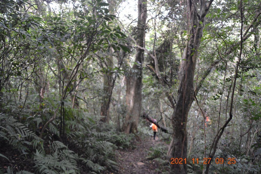 桃園頭寮山、溪洲山、新溪州山、石門水庫登山