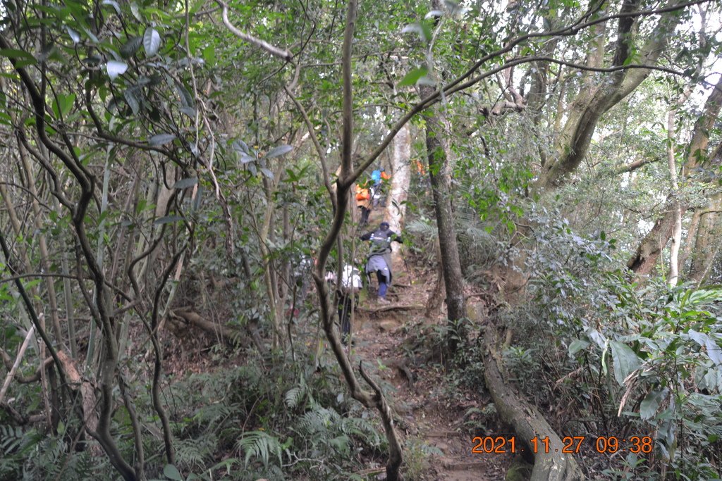 桃園頭寮山、溪洲山、新溪州山、石門水庫登山