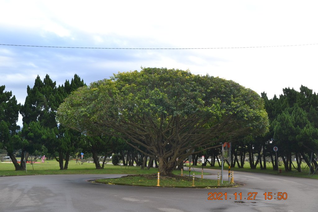 DSC_0299.JPG
