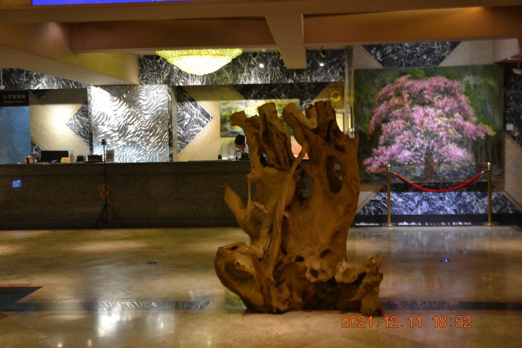 DSC_0336.JPG
