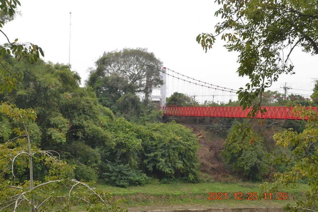DSC_0165.JPG