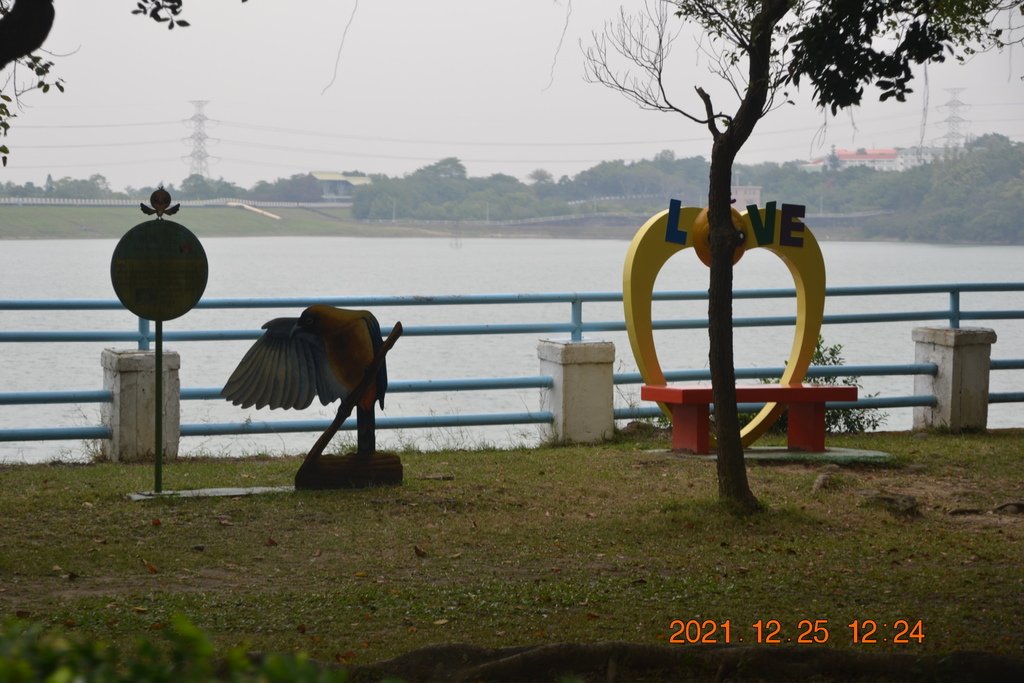 DSC_0227.JPG