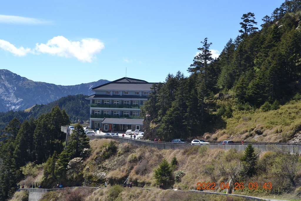 DSC_0010.JPG