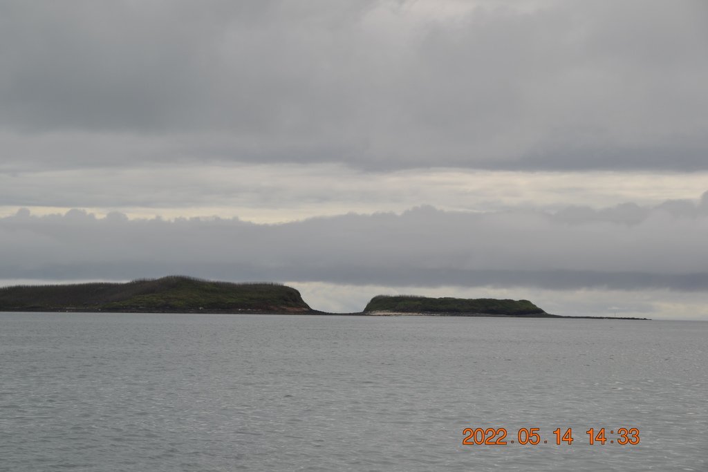 DSC_0168.JPG