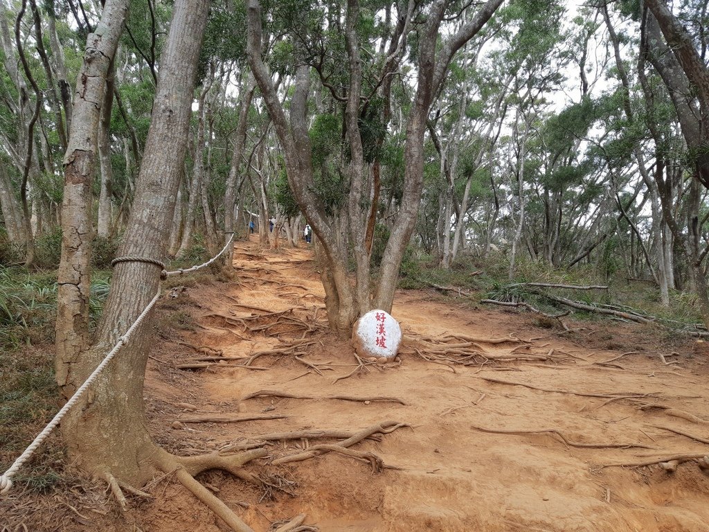 苗栗三義火炎山-樂活家族三義大甲一日遊(一)