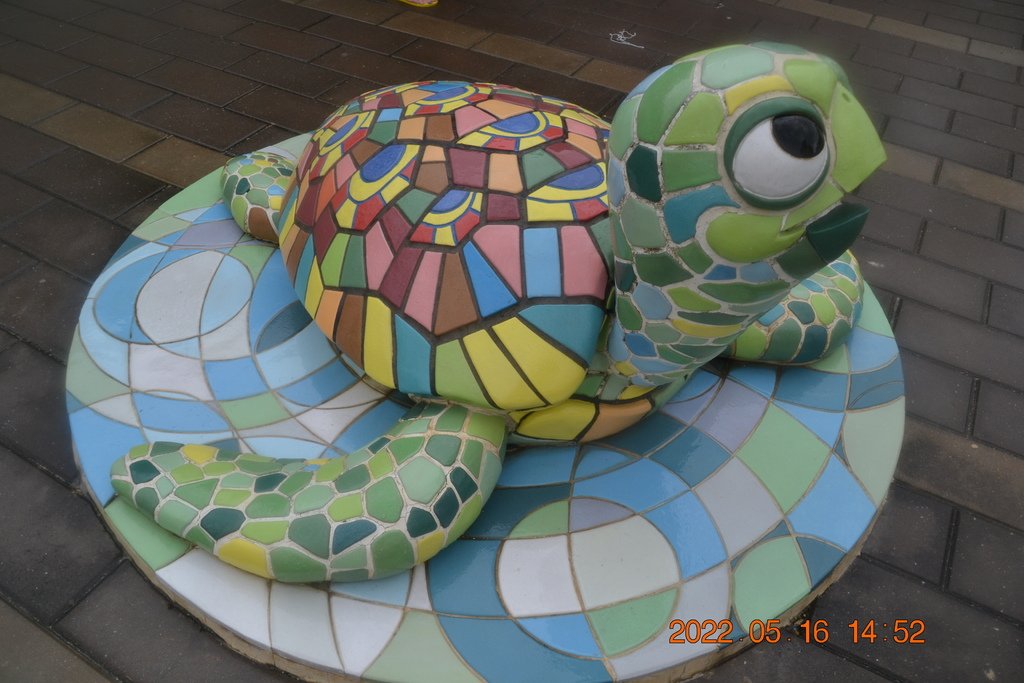 DSC_0877.JPG