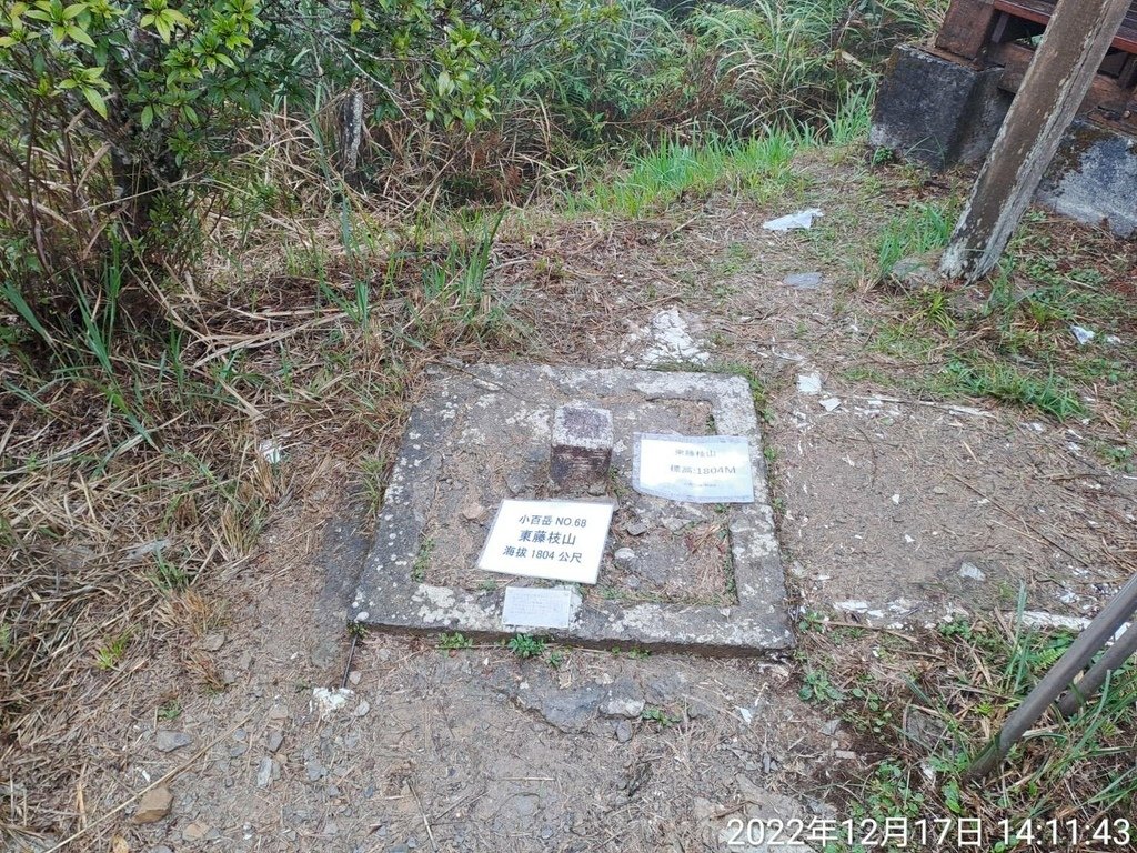 88377.jpg