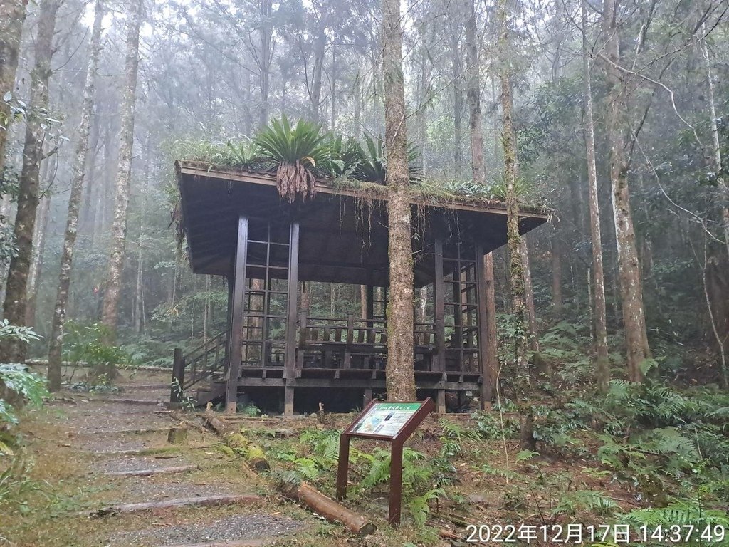 88350.jpg