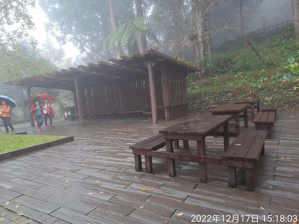 88322.jpg