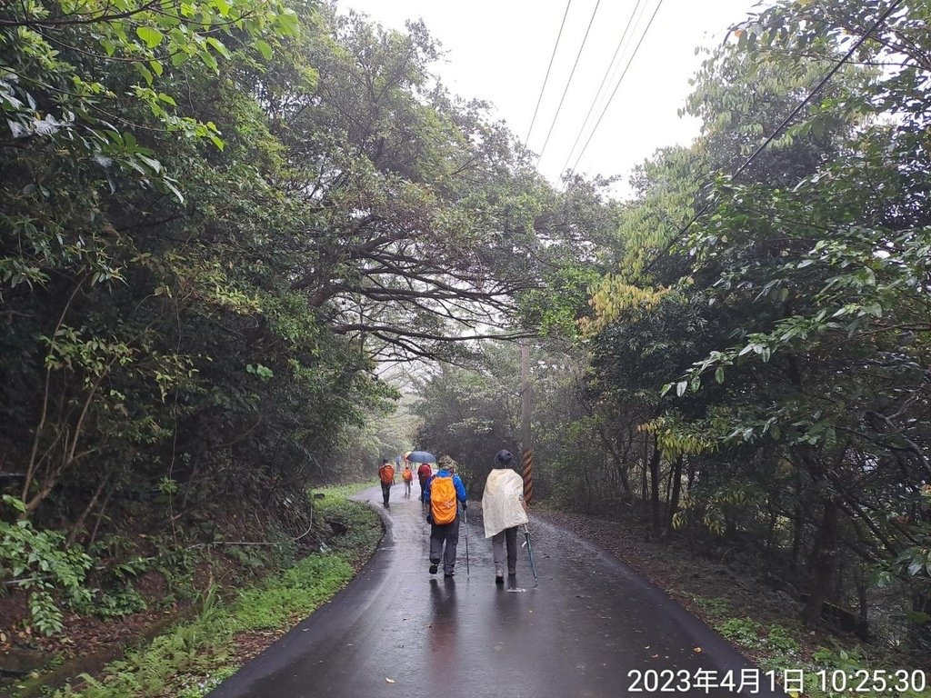 163072.jpg