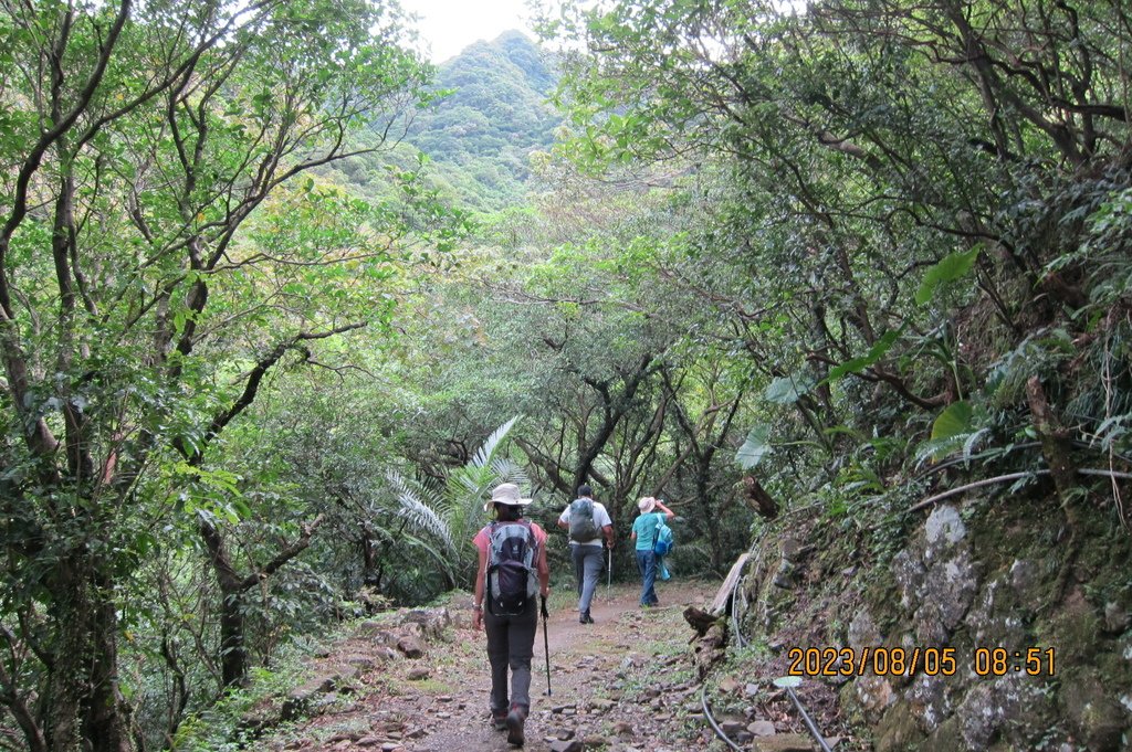 新北粗坑山-台北天際線第四段(猴雞縱走)-2