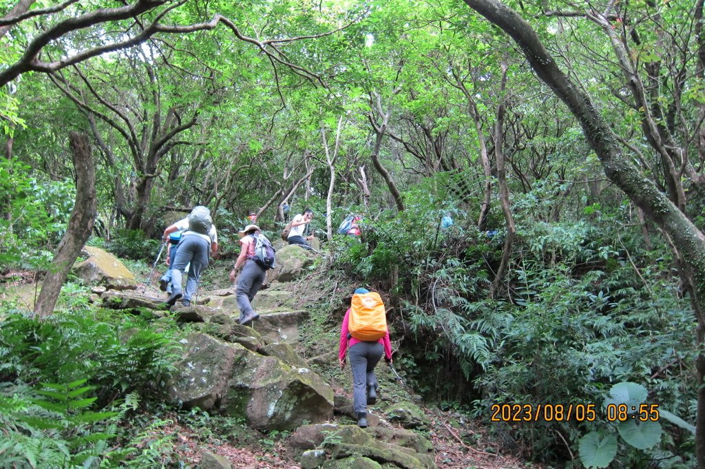 新北粗坑山-台北天際線第四段(猴雞縱走)-2