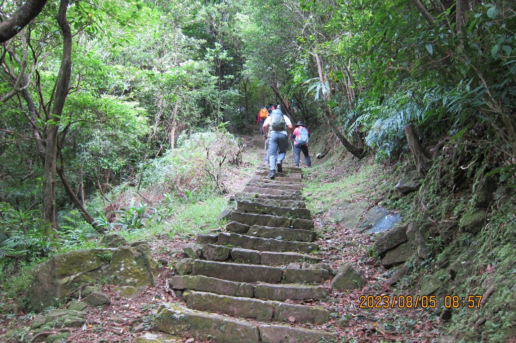 新北粗坑山-台北天際線第四段(猴雞縱走)-2