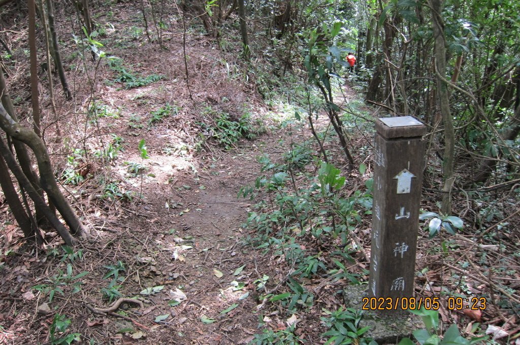 新北小粗坑山-台北天際線第四段(猴雞縱走)-3