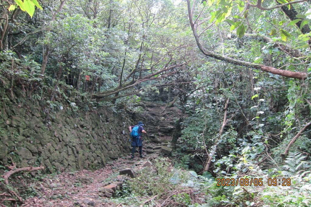 新北小粗坑山-台北天際線第四段(猴雞縱走)-3