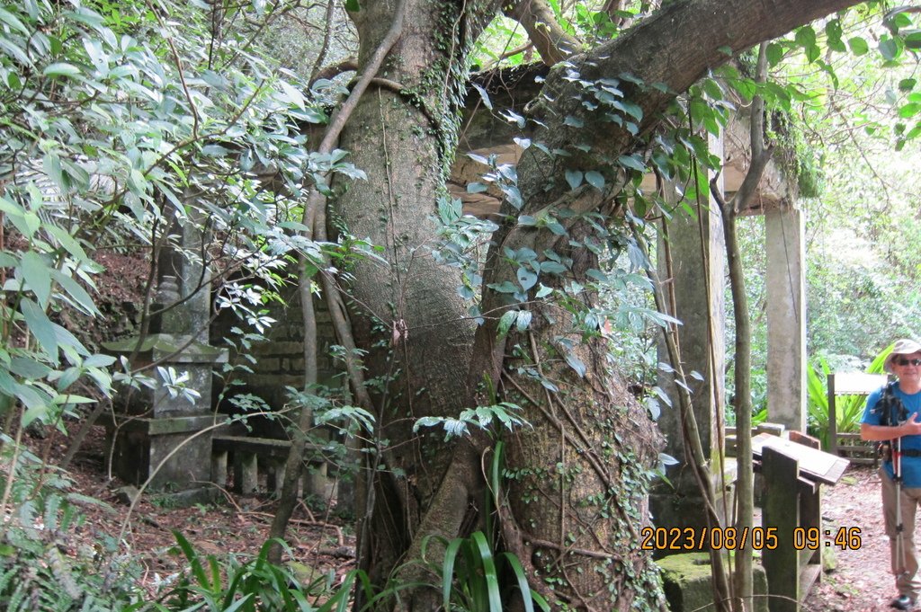 新北小粗坑山-台北天際線第四段(猴雞縱走)-3