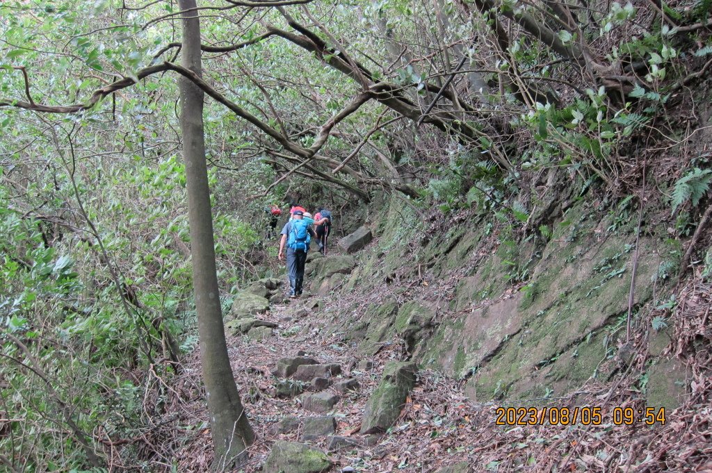 新北小粗坑山-台北天際線第四段(猴雞縱走)-3