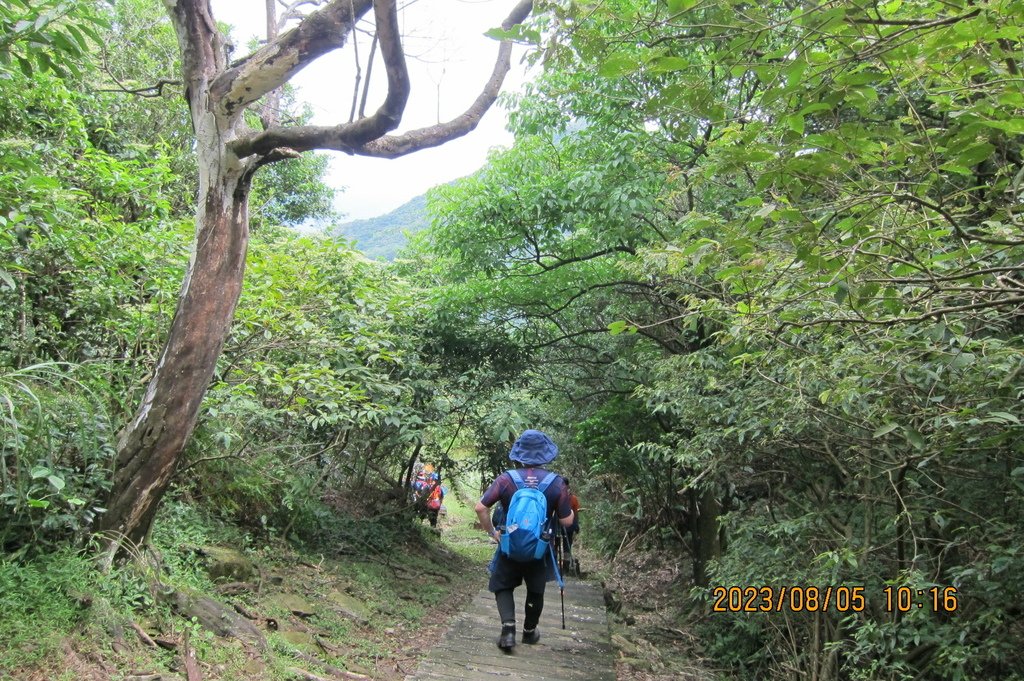 新北小粗坑山-台北天際線第四段(猴雞縱走)-3