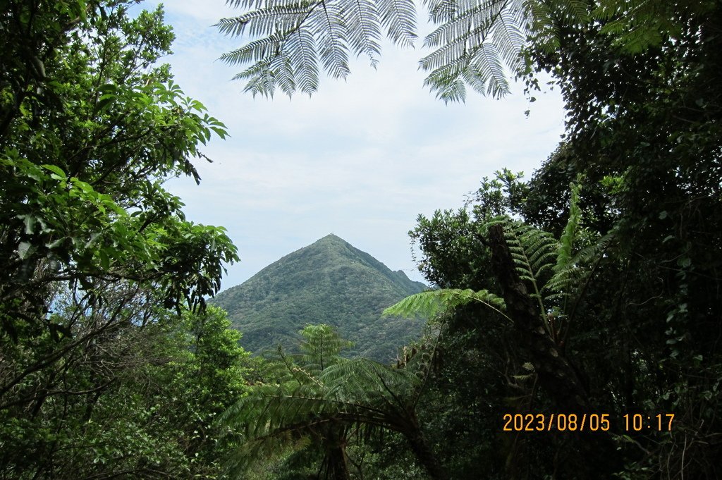 新北小粗坑山-台北天際線第四段(猴雞縱走)-3