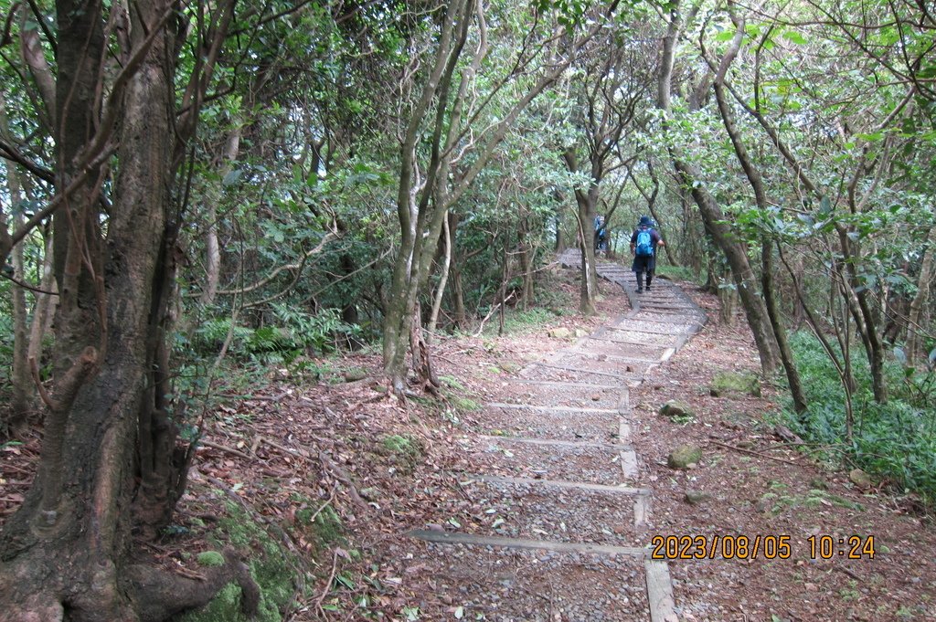 新北小粗坑山-台北天際線第四段(猴雞縱走)-3