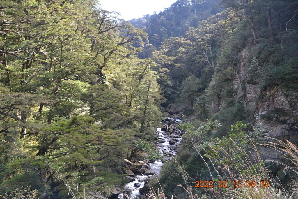 南投合歡溪步道-合歡越嶺古道(二)