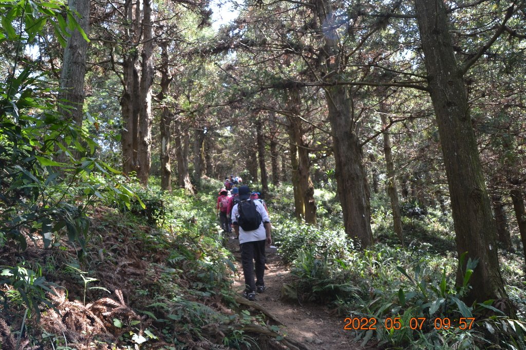 台中長壽山(1860峰)-長壽山、大崠山一日遊-1