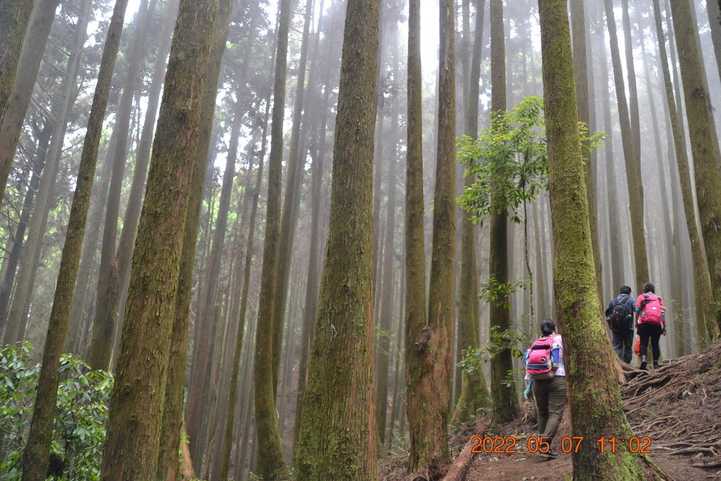 台中長壽山(1860峰)-長壽山、大崠山一日遊-1