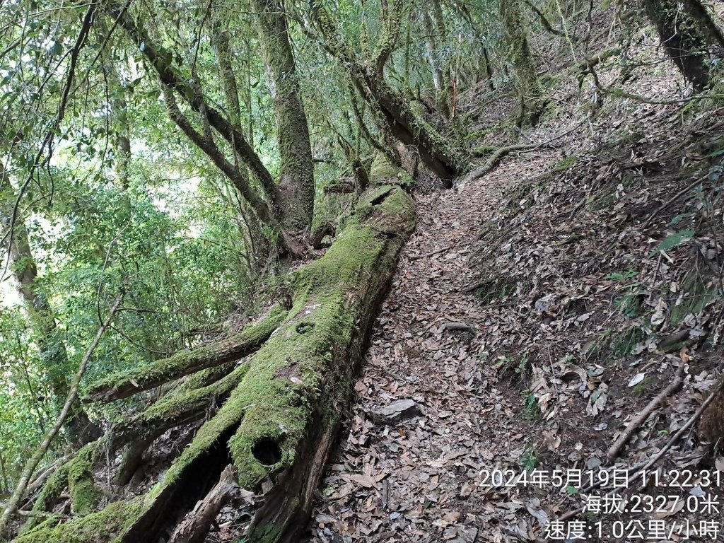 新竹尖石鎮西堡A區登山
