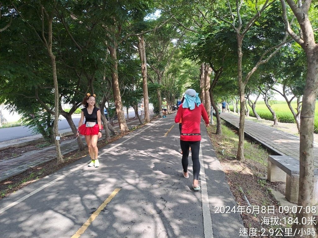 台中鄉鎮之美2024欣恩跑跑52神岡場-我的第80場半程馬拉