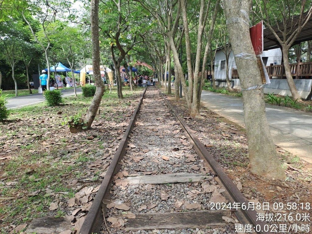 台中鄉鎮之美2024欣恩跑跑52神岡場-我的第80場半程馬拉