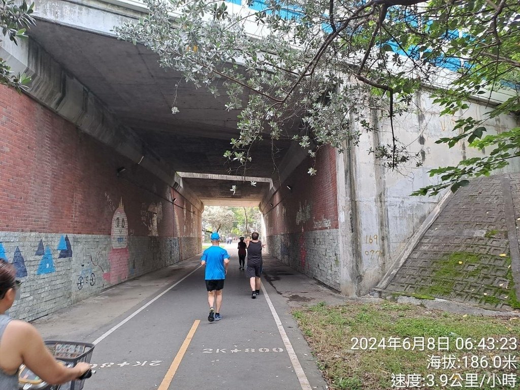 台中鄉鎮之美2024欣恩跑跑52神岡場-我的第80場半程馬拉