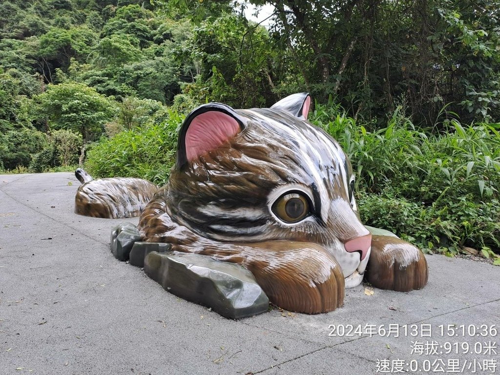 台中和平區桃山部落巨人之手