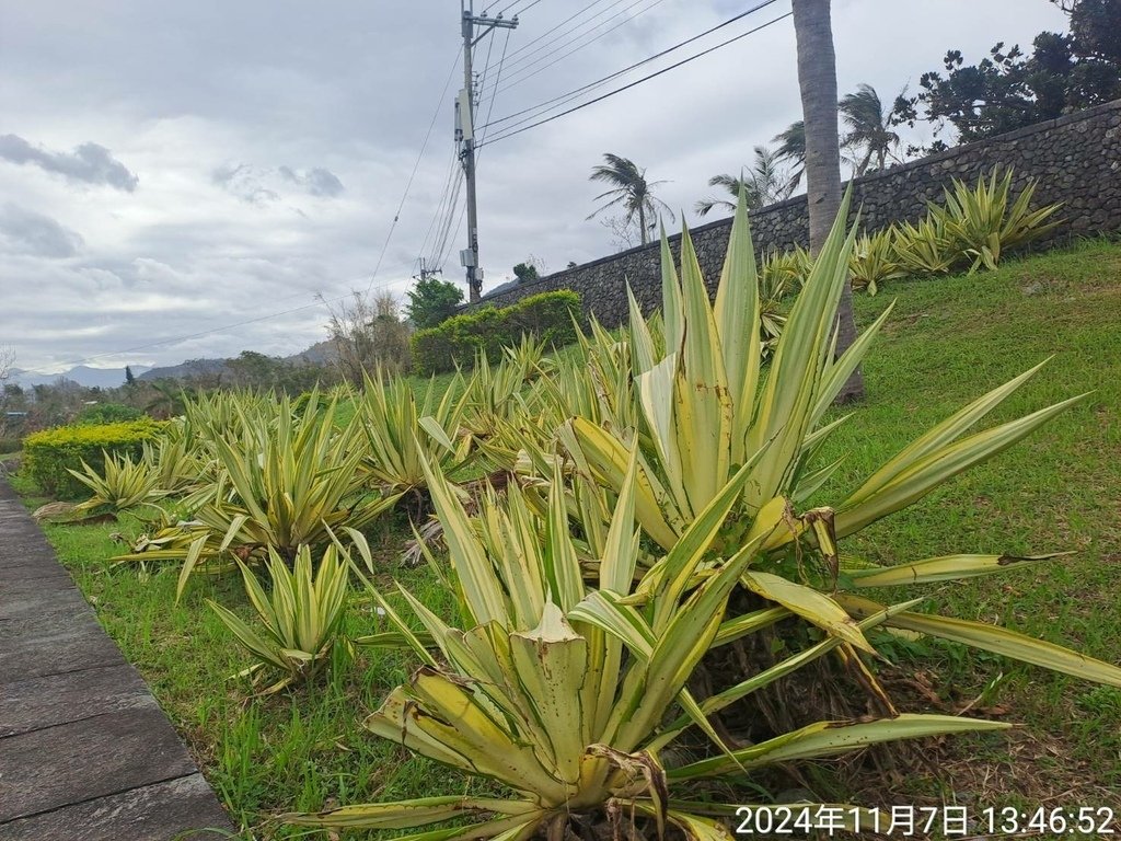 台東東河水往上流-台東3日遊-9