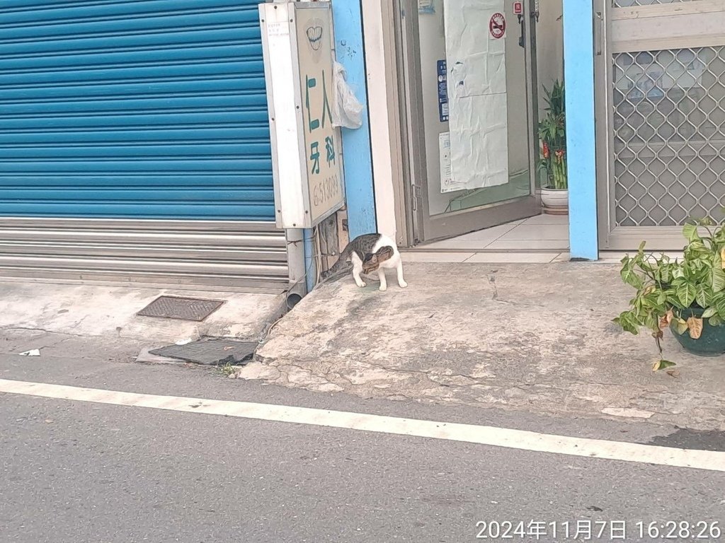 台東知本芙麗渡假酒店-台東3日遊-14