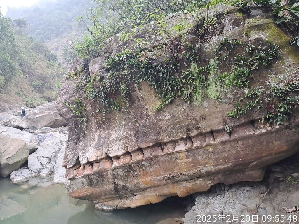 台南楠西龜丹溪、糖子恩山