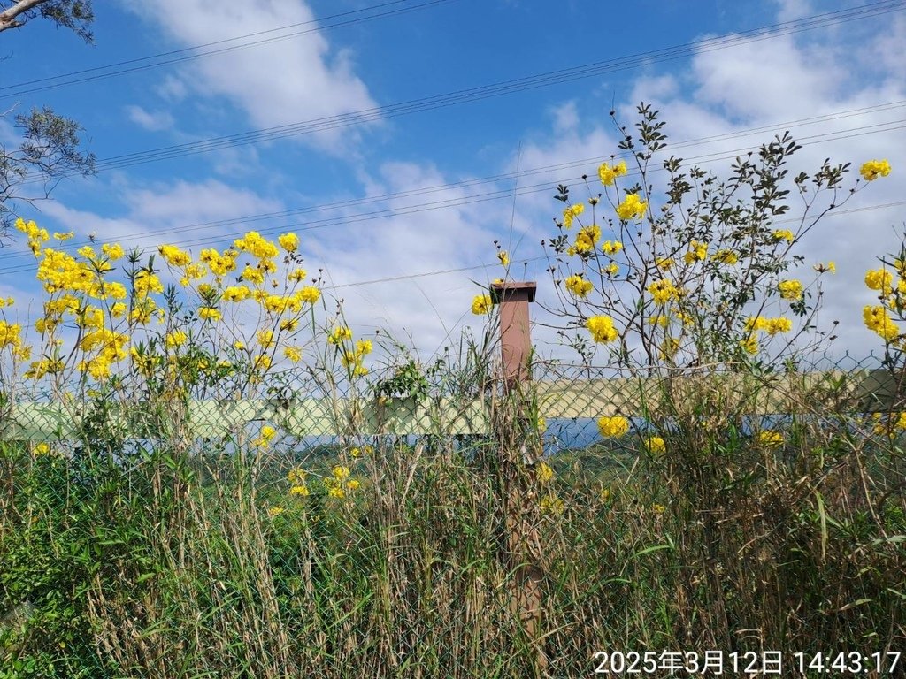 苗栗三灣鄉永和山水庫