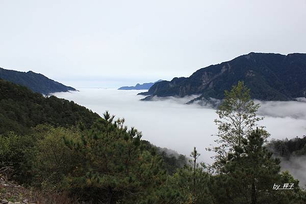 IMG_7249.JPG