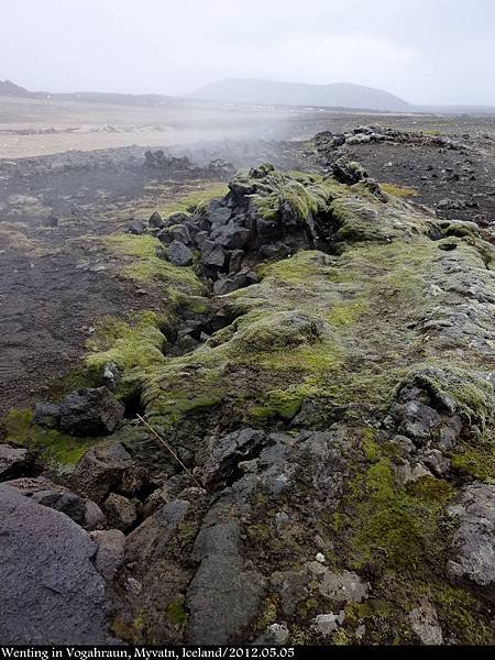 Myvatn_0505-008