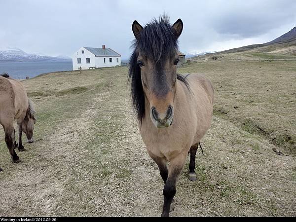 Akureyri_0506-001