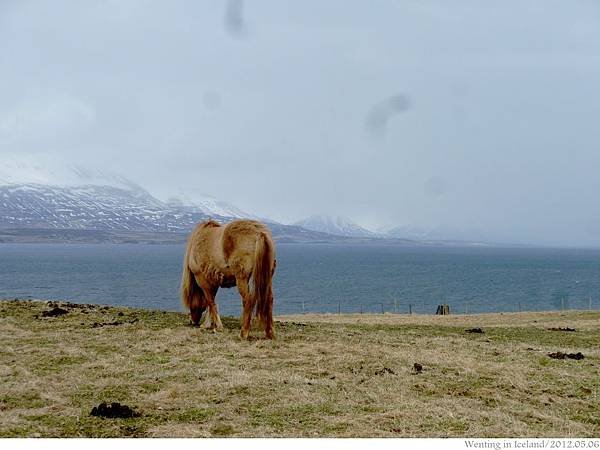 Akureyri_0506-008