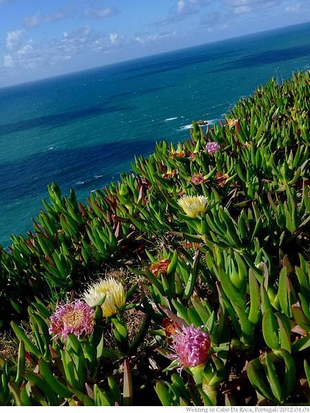 Cabo da Roca_0404-19