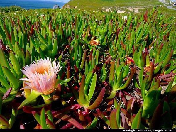 Cabo da Roca_0404-15