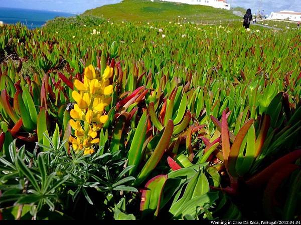 Cabo da Roca_0404-14