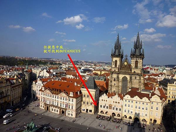 P1090874.jpg