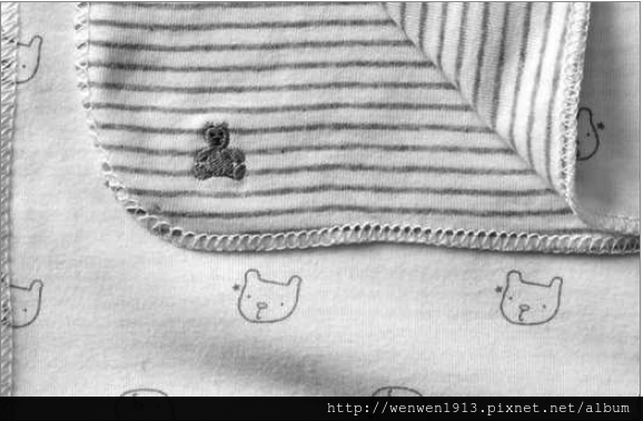 2015-05-05 19_17_25-Favorite bear stroller blanket _ Gap.png