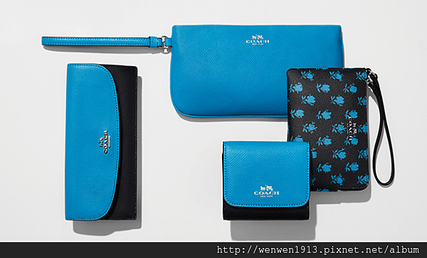 2016-05-29 18_34_54-Coach Outlet Official Site.png