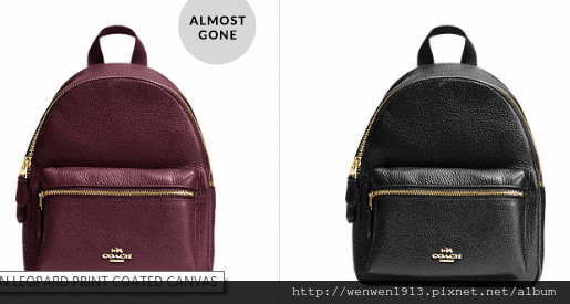 2016-08-10 14_51_06-Bags - WOMEN - Coach Outlet Official Site.png